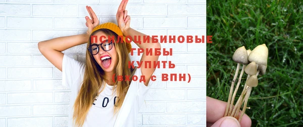 apvp Белокуриха