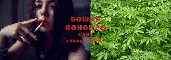 apvp Белокуриха