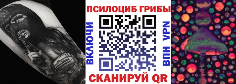 Псилоцибиновые грибы GOLDEN TEACHER Константиновск
