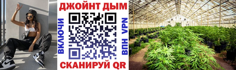 Конопля Bruce Banner  купить  цена  Константиновск 